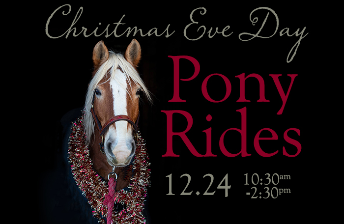 Christmas Eve Pony Ride Event